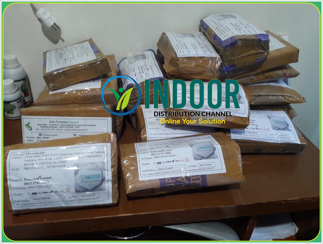 Bukti Kirim
