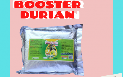 CHEAP 0812-2882-4834 Pupuk Pemanis Buah Durian Bali, Pupuk Durian Badung, Pupuk Durian Cepat Berbuah Mangapura, Pupuk Durian Yang Bagus Bangli