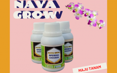 BERKUALITAS 0812-2882-4834 Nutrisi Anggrek DKI Jakarta, Nutrisi Untuk Anggrek Jakarta, Nutrisi Bunga Anggrek Jakarta Kota