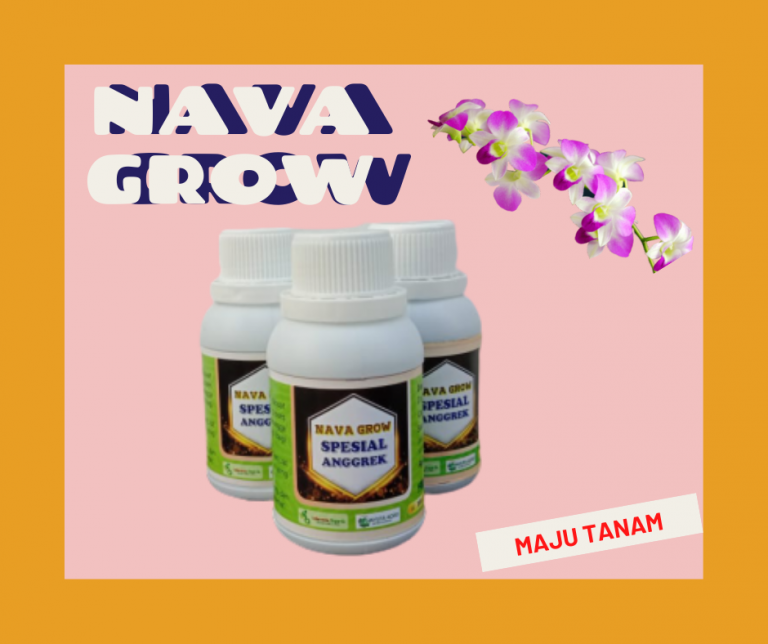 BERKUALITAS 0812-2882-4834 Nutrisi Anggrek DKI Jakarta, Nutrisi Untuk Anggrek Jakarta, Nutrisi Bunga Anggrek Jakarta Kota