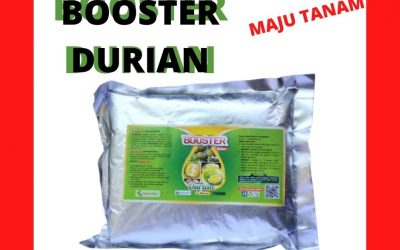 FREE SHIPPING 0812-2882-4834 Pupuk Pemanis Buah Durian Sulawesi Selatan, Pupuk Durian Makassar, Pupuk Durian Cepat Berbuah Kepulauan Selayar
