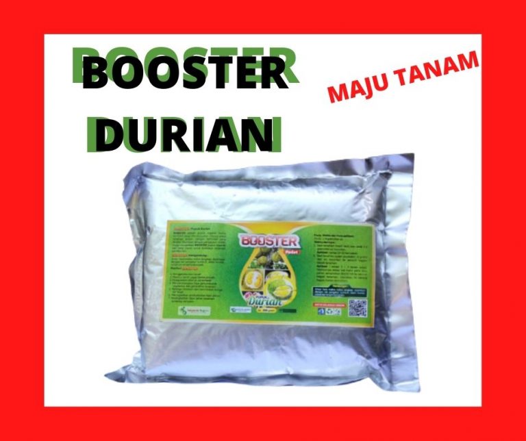 TERPERCAYA 0812-2882-4834 Pupuk Untuk Buah Durian Sidoarjo, Pupuk Pemanis Buah Durian Situbondo, Pupuk Durian Sumenep
