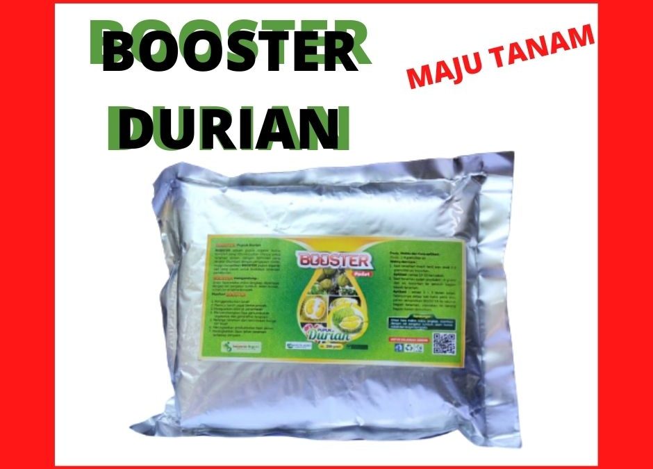 TERPERCAYA 0812-2882-4834 Pupuk Untuk Buah Durian Sidoarjo, Pupuk Pemanis Buah Durian Situbondo, Pupuk Durian Sumenep