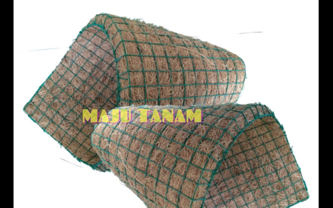 TERJAMIN 0812-2882-4834 Toko Pot Bunga Anggrek Bulan Jawa Barat, Pengrajin Pot Bunga Anggrek Keramik Bandung, Pusat Pot Bunga Anggrek Gerbah Soerang