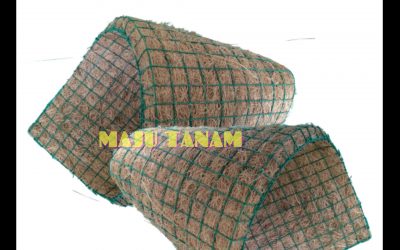 TERJAMIN 0812-2882-4834 Toko Pot Bunga Anggrek Bulan Jawa Barat, Pengrajin Pot Bunga Anggrek Keramik Bandung, Pusat Pot Bunga Anggrek Gerbah Soerang