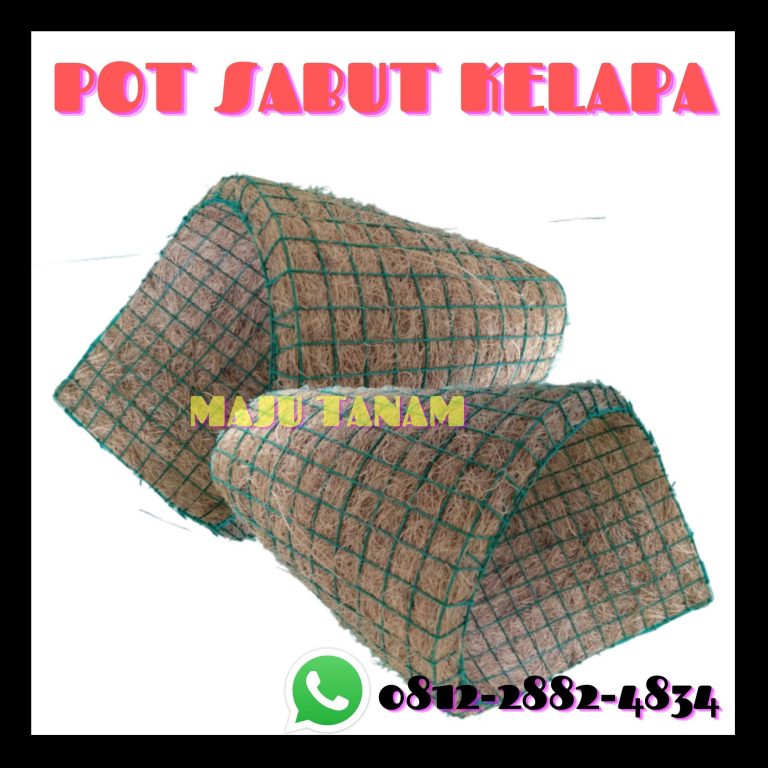 TERJAMIN 0812-2882-4834 Toko Pot Bunga Anggrek Bulan Jawa Barat, Pengrajin Pot Bunga Anggrek Keramik Bandung, Pusat Pot Bunga Anggrek Gerbah Soerang