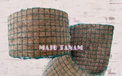 CHEAP 0812-2882-4834 Pusat Pot Bunga Anggrek Gerbah Nganjuk, Retail Pot Bunga Anggrek Ngawi, Pesan Rak Pot Bunga Anggrek Pacitan