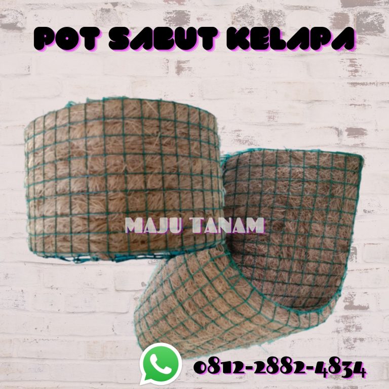 CHEAP 0812-2882-4834 Pusat Pot Bunga Anggrek Gerbah Nganjuk, Retail Pot Bunga Anggrek Ngawi, Pesan Rak Pot Bunga Anggrek Pacitan