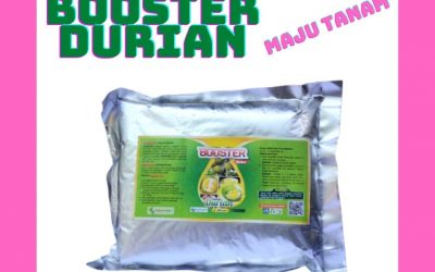 MURAH 0812-2882-4834 Pupuk Untuk Buah Durian Kota Surabaya, Pupuk Pemanis Buah Durian Kota Purbolinggo, Pupuk Durian Kota Pasuruan