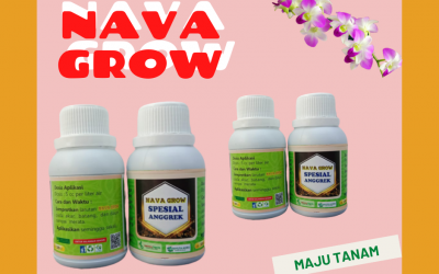 TERBAIK 0812-2882-4834 Nutrisi Anggrek Koja, Nutrisi Untuk Anggrek Jakarta Utara, Nutrisi Bunga Anggrek Cakung