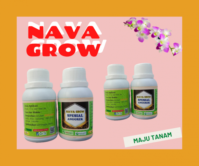 TERBAIK 0812-2882-4834 Nutrisi Anggrek Koja, Nutrisi Untuk Anggrek Jakarta Utara, Nutrisi Bunga Anggrek Cakung