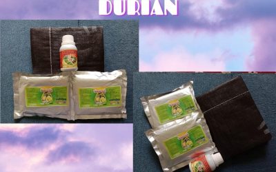 TERUPDATE 0812-2882-4834 Perawatan Durian Pasca Panen Kapuas Hulu, Perawatan Durian Baru Tanam Putussibau, Obat Pembasmi Hama Durian Bengkayang