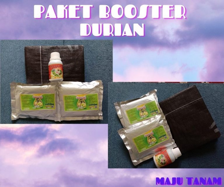 TERUPDATE 0812-2882-4834 Perawatan Durian Pasca Panen Kapuas Hulu, Perawatan Durian Baru Tanam Putussibau, Obat Pembasmi Hama Durian Bengkayang
