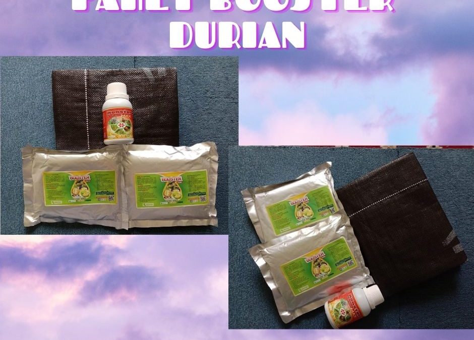 TERUPDATE 0812-2882-4834 Perawatan Durian Pasca Panen Kapuas Hulu, Perawatan Durian Baru Tanam Putussibau, Obat Pembasmi Hama Durian Bengkayang