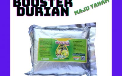 BUY CHEAP 0812-2882-4834 Pupuk Untuk Buah Durian Gowa, Pupuk Pemanis Buah Durian Sungguminasa, Pupuk Durian Enrekang