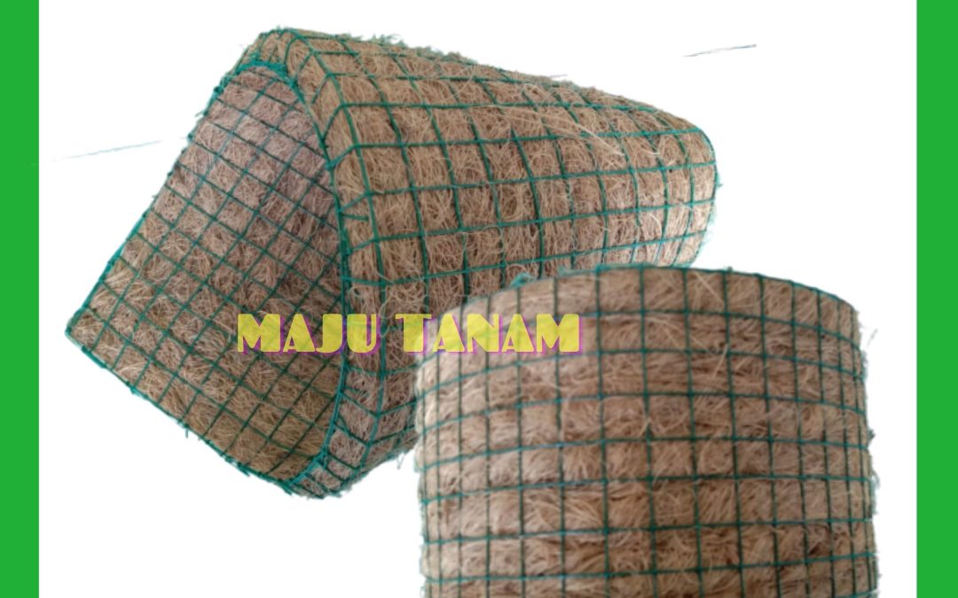 DISCOUNT 0812-2882-4834 Toko Pot Bunga Anggrek Bulan Cianjur, Pengrajin Pot Bunga Anggrek Keramik Cirebon, Pusat Pot Bunga Anggrek Gerbah Sumber
