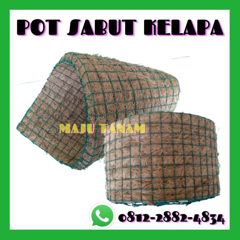 DISCOUNT 0812-2882-4834 Toko Pot Bunga Anggrek Bulan Cianjur, Pengrajin Pot Bunga Anggrek Keramik Cirebon, Pusat Pot Bunga Anggrek Gerbah Sumber