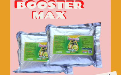 TERBAIK 0812-2882-4834 Pupuk Pemanis Buah Durian Kota Denpasar, Pupuk Durian Tabanan, Pupuk Durian Cepat Berbuah Semarapura