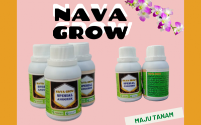 TERMURAH Nutrisi Untuk Anggrek Jawa Timur, Nutrisi Bunga Anggrek Surabaya, Nutrisi Tanaman Anggrek Bangkalan