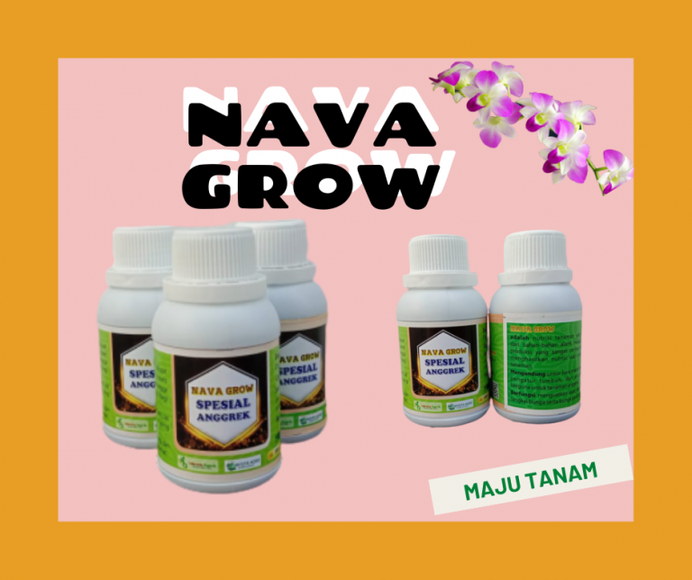 TERMURAH Nutrisi Untuk Anggrek Jawa Timur, Nutrisi Bunga Anggrek Surabaya, Nutrisi Tanaman Anggrek Bangkalan