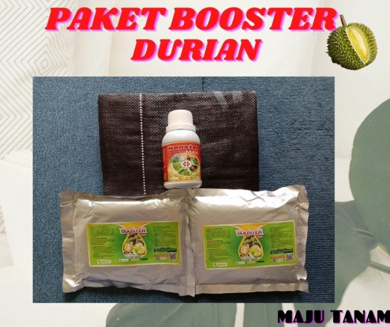 BERKUALITAS 0812-2882-4834 Paket Perawatan Durian Pasca Panen Kota Singkawang, Perawatan Durian Baru Tanam Kota Pontianak, Obat Pembasmi Hama Durian Sungai Raya