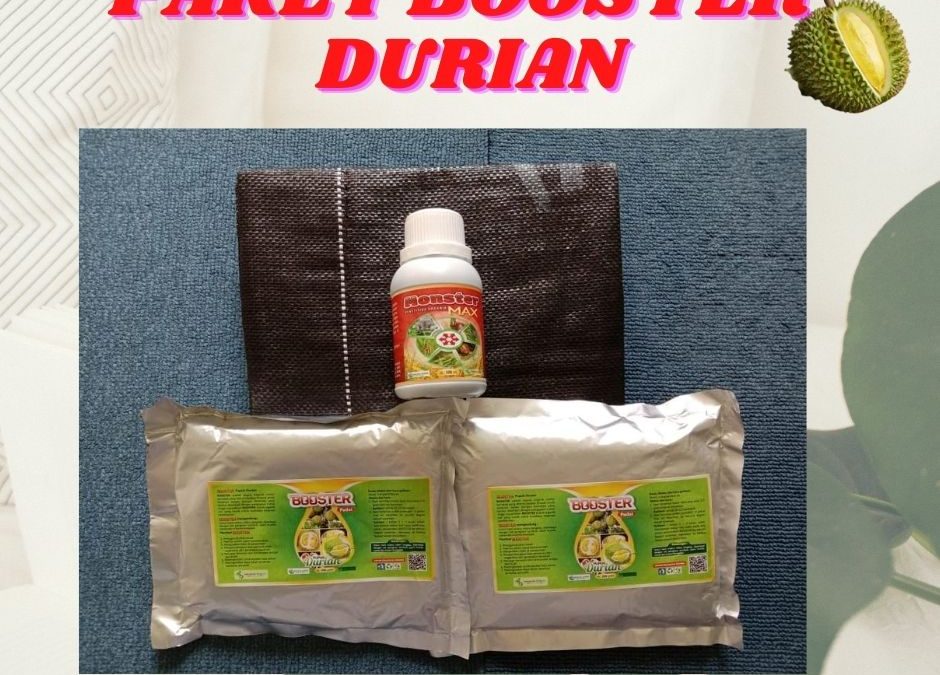 BERKUALITAS 0812-2882-4834 Paket Perawatan Durian Pasca Panen Kota Singkawang, Perawatan Durian Baru Tanam Kota Pontianak, Obat Pembasmi Hama Durian Sungai Raya