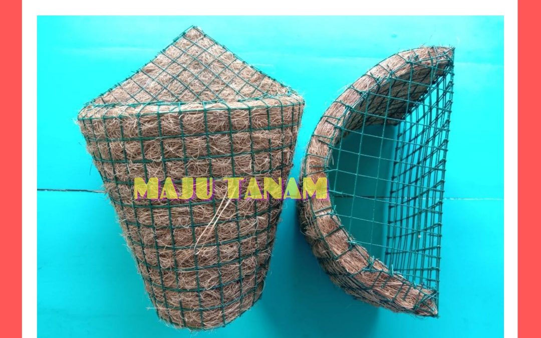 BIG SALE 0812-2882-4834 Toko Pot Bunga Anggrek Bulan Parigi, Pengrajin Pot Bunga Anggrek Keramik Purwakarta, Pusat Pot Bunga Anggrek Gerbah Subang