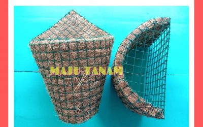 BIG SALE 0812-2882-4834 Toko Pot Bunga Anggrek Bulan Parigi, Pengrajin Pot Bunga Anggrek Keramik Purwakarta, Pusat Pot Bunga Anggrek Gerbah Subang