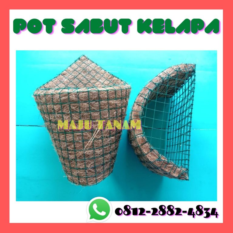 BIG SALE 0812-2882-4834 Toko Pot Bunga Anggrek Bulan Parigi, Pengrajin Pot Bunga Anggrek Keramik Purwakarta, Pusat Pot Bunga Anggrek Gerbah Subang