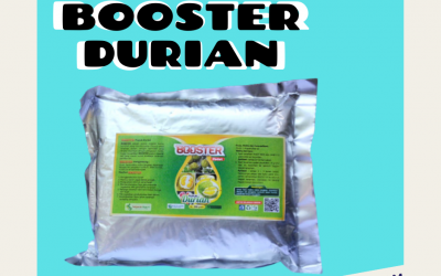TERUPDATE 0812-2882-4834 Pupuk Untuk Buah Durian Jawa Timur, Pupuk Pemanis Buah Durian Surabaya, Pupuk Durian Bangkalan