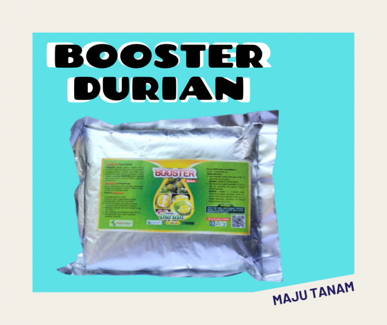 TERUPDATE 0812-2882-4834 Pupuk Untuk Buah Durian Jawa Timur, Pupuk Pemanis Buah Durian Surabaya, Pupuk Durian Bangkalan