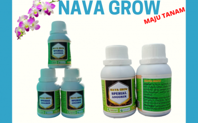 JUAL Nutrisi Untuk Anggrek Jember, Nutrisi Bunga Anggrek Jombang, Nutrisi Tanaman Anggrek Kediri