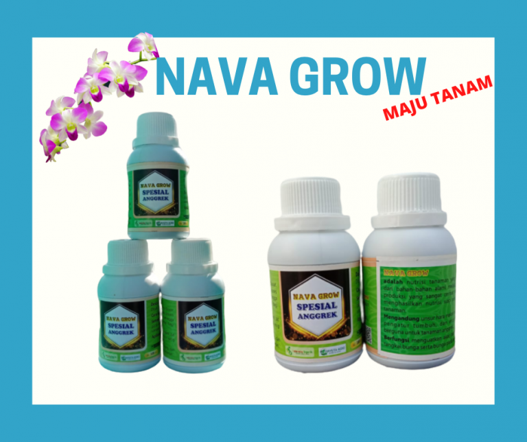 JUAL Nutrisi Untuk Anggrek Jember, Nutrisi Bunga Anggrek Jombang, Nutrisi Tanaman Anggrek Kediri