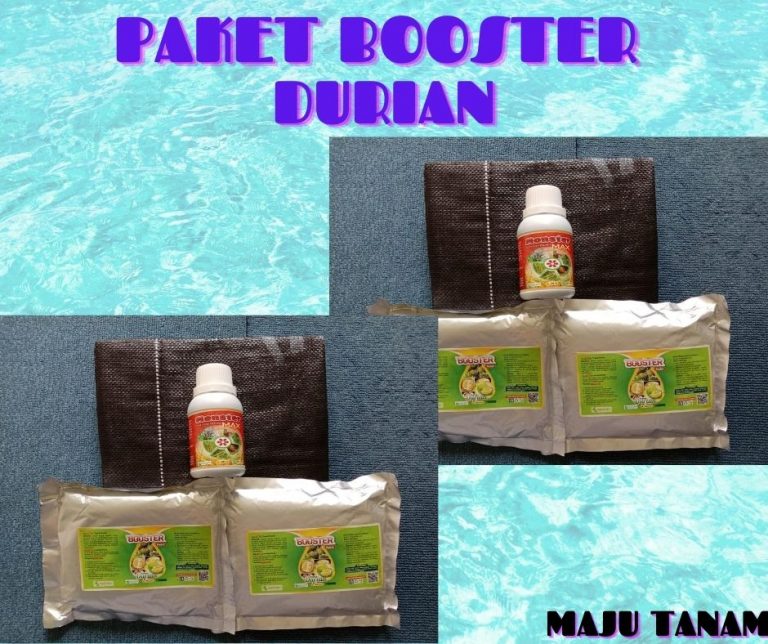 TERPERCAYA 0812-2882-4834 Paket Perawatan Durian Pasca Tanam Sumatra Utara, Perawatan Durian Pasca Panen Medan, Perawatan Durian Baru Tanam Tapanuli Tengah