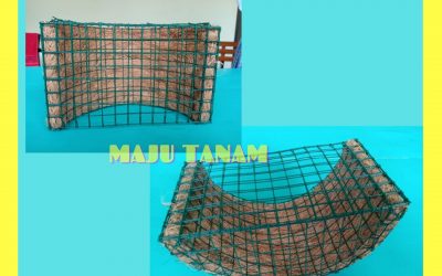 BUY 0812-2882-4834 Pengrajin Pot Bunga Anggrek Keramik Demak, Pusat Pot Bunga Anggrek Gerbah Purwodadi, Retail Pot Bunga Anggrek Jepara