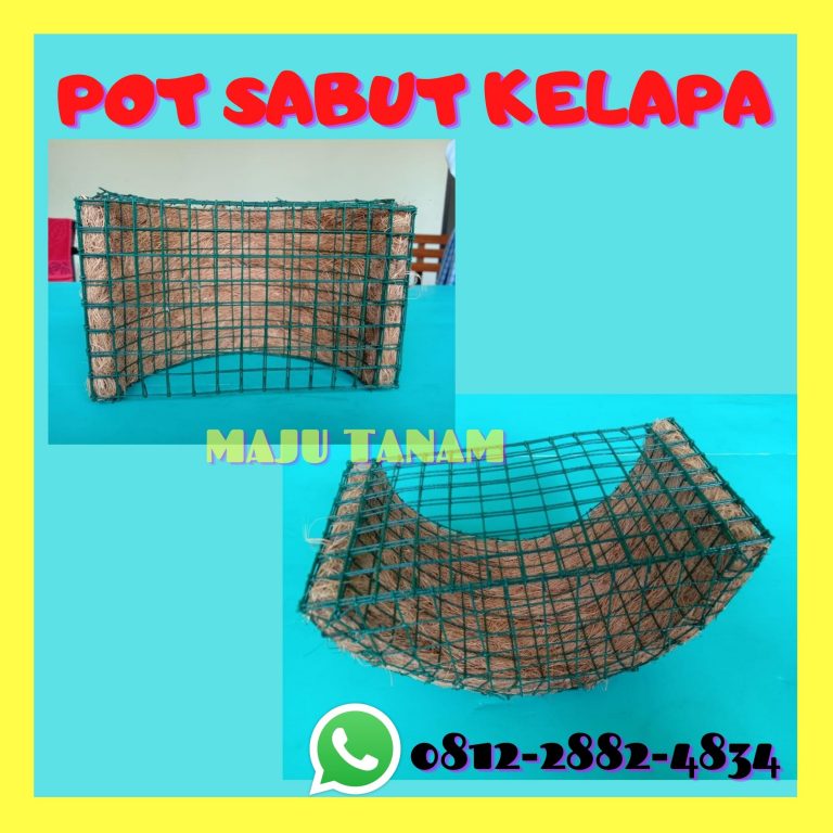 BUY 0812-2882-4834 Pengrajin Pot Bunga Anggrek Keramik Demak, Pusat Pot Bunga Anggrek Gerbah Purwodadi, Retail Pot Bunga Anggrek Jepara