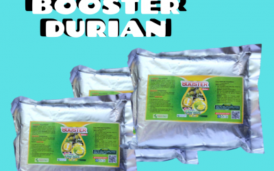 BERKUALITAS 0812-2882-4834 Pupuk Untuk Buah Durian Jombang, Pupuk Pemanis Buah Durian Kediri, Pupuk Durian Ngasem