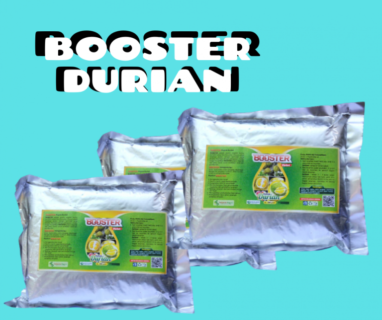 BERKUALITAS 0812-2882-4834 Pupuk Untuk Buah Durian Jombang, Pupuk Pemanis Buah Durian Kediri, Pupuk Durian Ngasem