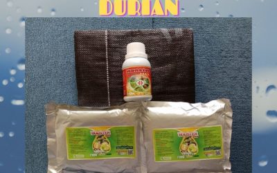 GROSIR 0812-2882-4834 Paket Perawatan Durian Pasca Tanam Langkat, Perawatan Durian Pasca Panen Stabat, Perawatan Durian Baru Tanam Karo