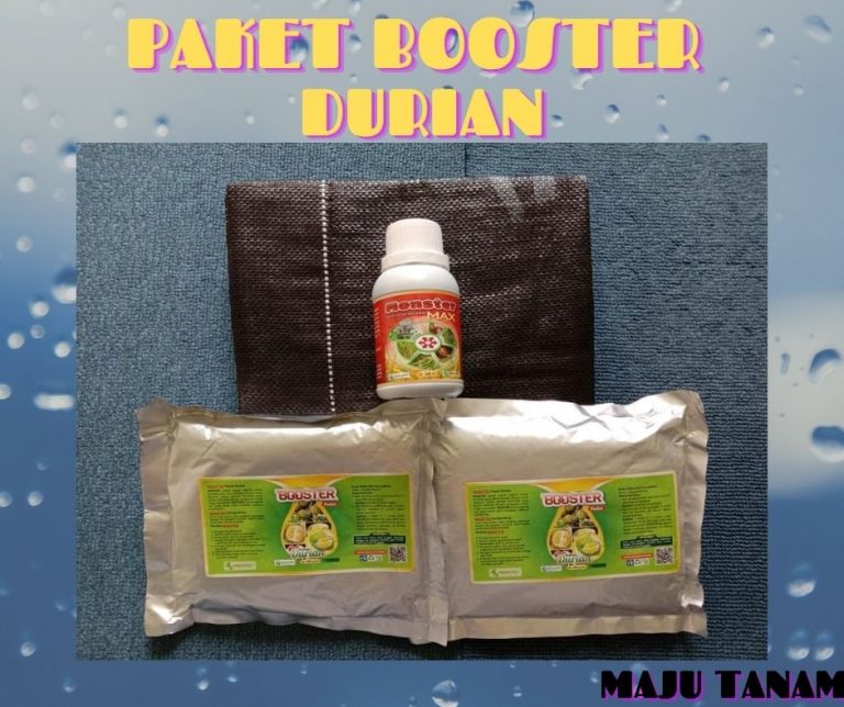 GROSIR 0812-2882-4834 Paket Perawatan Durian Pasca Tanam Langkat, Perawatan Durian Pasca Panen Stabat, Perawatan Durian Baru Tanam Karo