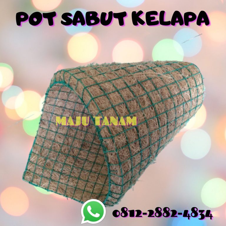 FREE SHIPPING 0812-2882-4834 Pengrajin Pot Bunga Anggrek Keramik Jawa Tengah, Pusat Pot Bunga Anggrek Gerbah Semarang, Retail Pot Bunga Anggrek Banjarnegara