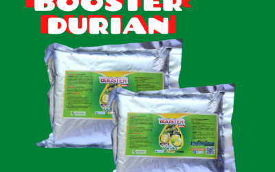 TERMURAH 0812-2882-4834 Pupuk Untuk Buah Durian Nganjuk, Pupuk Pemanis Buah Durian Ngawi, Pupuk Durian Pacitan