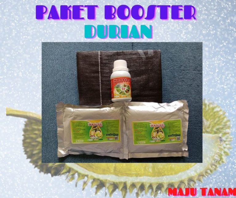 MURAH 0812-2882-4834 Paket Perawatan Durian Pasca Tanam Labuhan Batu, Perawatan Durian Pasca Panen Rantau Prapat, Perawatan Durian Baru Tanam Dairi