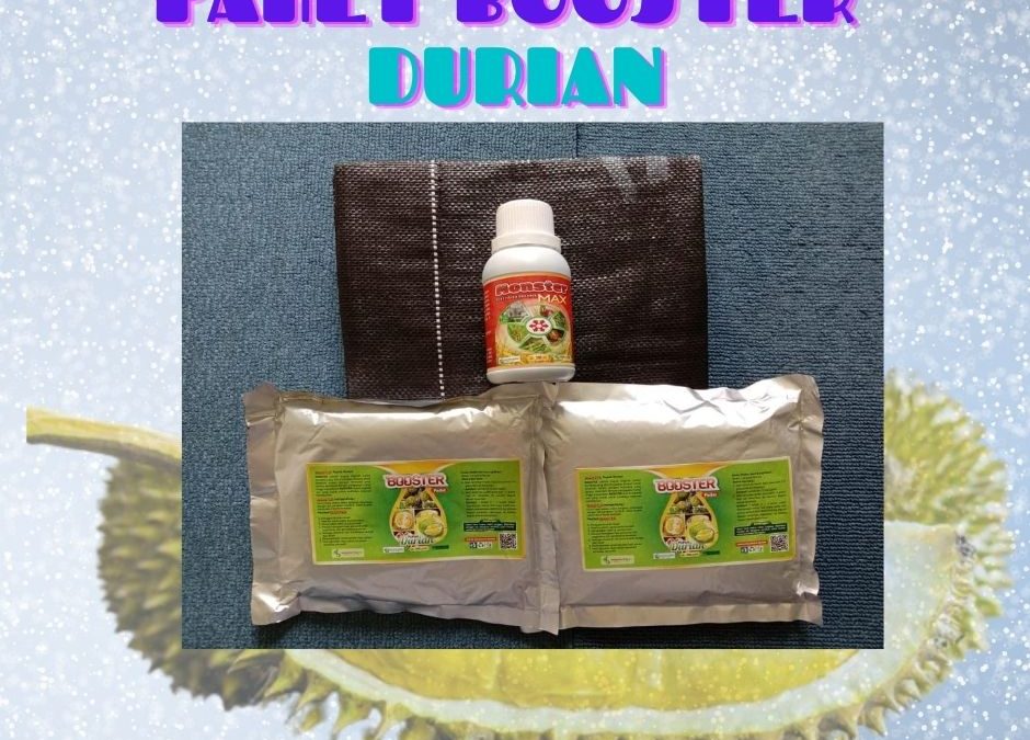 MURAH 0812-2882-4834 Paket Perawatan Durian Pasca Tanam Labuhan Batu, Perawatan Durian Pasca Panen Rantau Prapat, Perawatan Durian Baru Tanam Dairi