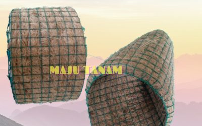 TERPOPULER 0812-2882-4834 Pengrajin Pot Bunga Anggrek Keramik Mungkid, Pusat Pot Bunga Anggrek Gerbah Pati, Retail Pot Bunga Anggrek Pemalang