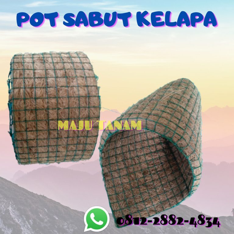 TERPOPULER 0812-2882-4834 Pengrajin Pot Bunga Anggrek Keramik Mungkid, Pusat Pot Bunga Anggrek Gerbah Pati, Retail Pot Bunga Anggrek Pemalang
