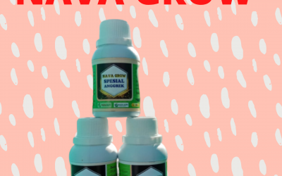 TERPERCAYA Nutrisi Untuk Anggrek Mojosari, Nutrisi Bunga Anggrek Nganjuk, Nutrisi Tanaman Anggrek Ngawi
