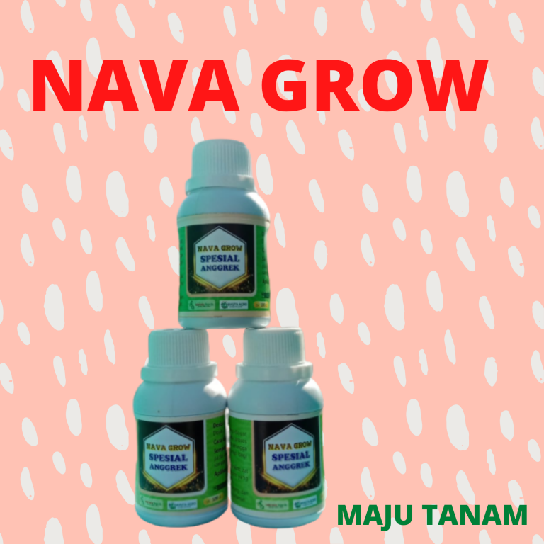 TERPERCAYA Nutrisi Untuk Anggrek Mojosari, Nutrisi Bunga Anggrek Nganjuk, Nutrisi Tanaman Anggrek Ngawi
