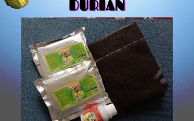 TERPOPULER 0812-2882-4834 Paket Perawatan Durian Pasca Tanam Pakpak Bharat, Perawatan Durian Pasca Panen Salak, Perawatan Durian Baru Tanam Humbang Hasundutan
