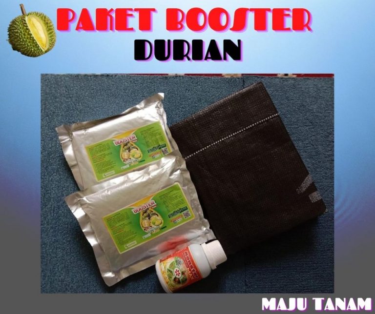TERPOPULER 0812-2882-4834 Paket Perawatan Durian Pasca Tanam Pakpak Bharat, Perawatan Durian Pasca Panen Salak, Perawatan Durian Baru Tanam Humbang Hasundutan